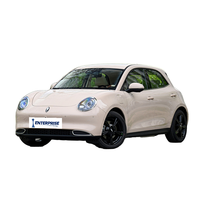 Voiture électrique compacte GWM Ora 03, 501 km d'autonomie, luxe, automatique, ACC, voiture pour femme avec sièges en tissu