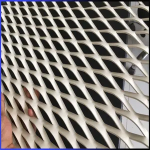 Free Sample Stainless Steel Expand Decoration Wire Mesh