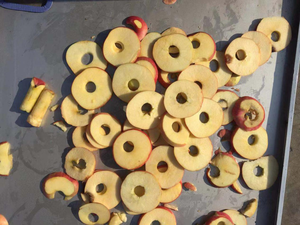 Machine à couper les pommes automatique populaire, éplucheur de pommes, machine à couper les pommes - Product Image 3