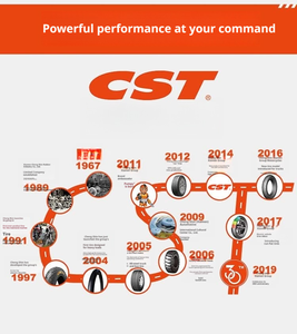 Neumáticos Radiales para Motocicleta CST CM-AS6 Sin Cámara, Repuesto/Reparación, Compatibles con Llantas de 17 Pulgadas, para Conducción Urbana, Deportiva y en Carreteras de Montaña - Product Image 5
