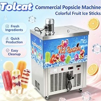 Machine commerciale de fabrication de bâtonnets de crème glacée en acier inoxydable, moules à bâtonnets de yaourt et de fruits, armoire de congélation