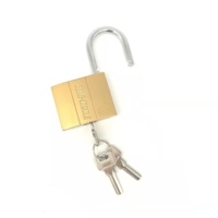 Cadenas en cuivre sur mesure, nouveau design antivol, cadenas à clé en laiton, vente en gros