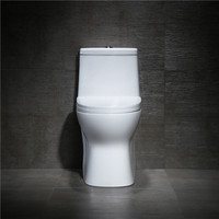 Vente en gros de toilettes de salle de bains cuvette blanche Tornado S-trap Closestool céramique sanitaire toilettes une pièce Cupc