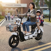 Nouveau vélo électrique à deux roues pour adultes, norme nationale - Approvisionnement transfrontalier direct d'usine