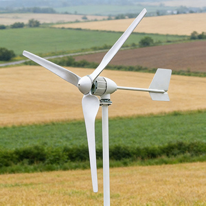 Fabricant de turbines éoliennes horizontales domestiques de petite taille et haute efficacité - Product Image 2
