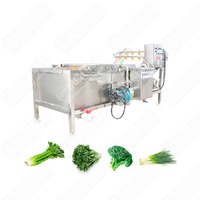Machine à laver entièrement automatique Câpres Feuilles de basilic Feuille de manioc Nettoyage à bulles