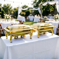 Réchauds de buffet professionnels en acier inoxydable 9L, chauffe-plats à gaz pour la restauration et la préparation des aliments