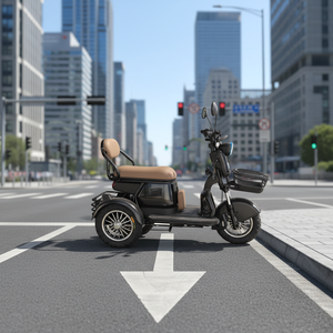Triciclo Eléctrico <span class=keywords><strong>de</strong></span> Alta Resistencia <span class=keywords><strong>para</strong></span> 2 Pasajeros |   Certificado por el DOT, Ideal <span class=keywords><strong>para</strong></span> <span class=keywords><strong>Alquiler</strong></span> Urbano y <span class=keywords><strong>Transporte</strong></span> <span class=keywords><strong>de</strong></span> Corta Distancia - Product Image 1