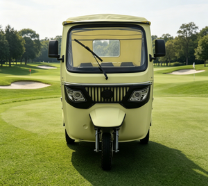 EEC COC Tows E <strong>Trike</strong> Passenger EEC Electric Passenger Tricycle TUKTUK Factory Direct <strong>Sale</strong> - Product Image 1