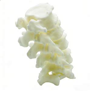 Meilleure vente en Chine : Prototypage rapide de tête humaine par impression 3D haute précision, matériau résine SLA, détails réalistes, personnalisation OEM - Product Image 2