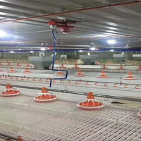 Mangeoires automatiques pour poulets Système de ligne d'alimentation pour poulets de chair Conceptions de maisons Ferme avicole Mangeoire automatique à vendre