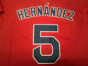 Best Quality Custom Your Name Number Logo Patch Stitched Team Style Embroidered City Connect American Baseball <strong>Jersey</strong>
