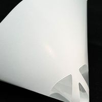 Filtre à peinture jetable en papier avec entonnoir en maille de polyester pour revêtements de peinture automobile à base de solvant et à base d'huile
