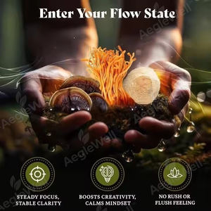 Organik İrlanda deniz yosun sıvı mantar bilişsel için tentür Seamoss mantar özü düşer - Product Image 5