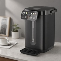 Bouilloire Électrique Isotherme Professionnelle OEM avec Corps en Charbon de Bois et Plaque de Vidange Amovible pour la Technologie Logicielle