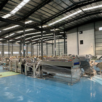 Intelligente Fruitverwerkingslijn Modulair Ontwerp Groentewasmachine Automatische Sorteerkernmotor Voor Watermaïs Tarwenoten