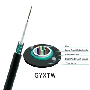 Optische Vezel Gyxtw 4 6 12 24 Core Single Mode G652d Ofc Met Staaldraad Gepantserde Gyxty Outdoor Glasvezelkabel 12 Core