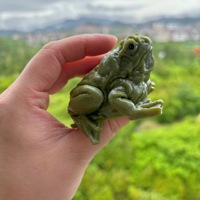 Jouet sensoriel anti-stress grenouille crapaud Taba Squishy pour enfants, jouet à presser Fidget, vente en gros