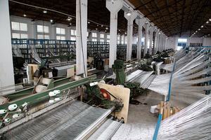 Profession elle Produktion von Glas Roving Gewebte Webmaschine - Product Image 2