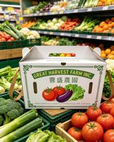 Boîte en plastique ondulé PP écologique, recyclable, réutilisable et pliable pour l'emballage de légumes, fruits, graines, œufs, viande, citrouilles, piments