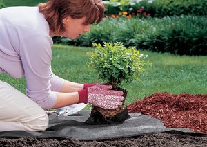 Malla antihierbas de tela no tejida para paisajismo, protección contra heladas y viento, control de malezas, spunbond - Product Image 5