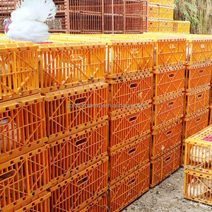 Gabbia di Trasporto per Pollame di Grandi Dimensioni in Plastica per Tacchini, Galline Ovaiole e Polli da Carne - Vendita Calda - Product Image 6