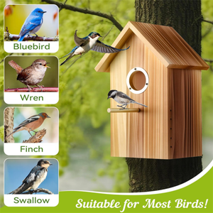 Nichoirs à oiseaux en bois multifonctionnels modernes et améliorés en gros, nichoirs à oiseaux d'extérieur avec fenêtre transparente pour la décoration de la maison - Product Image 5