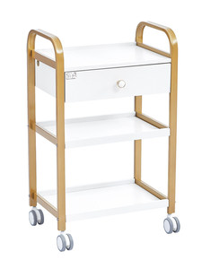 Chariot de beauté compact en acier inoxydable, multifonctionnel pour salon de beauté, tatouage, <span class=keywords><strong>SPA</strong></span>, chariot de rangement mobile pour outils de manucure - Product Image 1