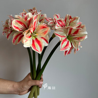 Fleur artificielle réaliste à tige unique, amaryllis et clivia, la plus vendue, pour décorations de fêtes, Thanksgiving, remise de diplômes, mariages et banquets