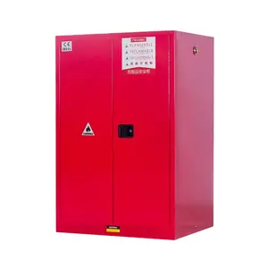Hot Sale Laboratory Safety Cabinet Chemical Storage Explosion Proof Cabinets Price safety Gas cabinet