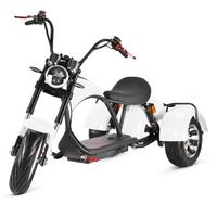 Scooter électrique Citycoco Chopper Bike avec moteurs 4000w, 60v, certifié, trois roues, tricycle électrique, homologué pour la route