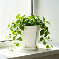 Pot de fleurs carré en plastique auto-arrosant de luxe avec trou de drainage, écologique, durable, kit de propagation de jardin respirant, grand format