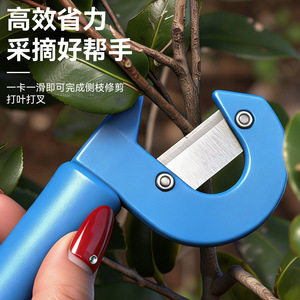Couteau de taille-haie Yu Jian type C, acier au carbone, lame fixe bleue, pour les brindilles et les tiges de feuilles - Product Image 5