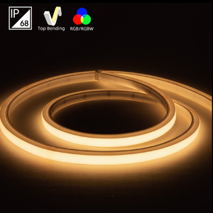 Éclairage <span class=keywords><strong>LED</strong></span> néon en gel blanc 6500K 12V 10W 24V étanche IP68 pour piscine et étang, décoration d'éclairage sous-marin - Product Image 1