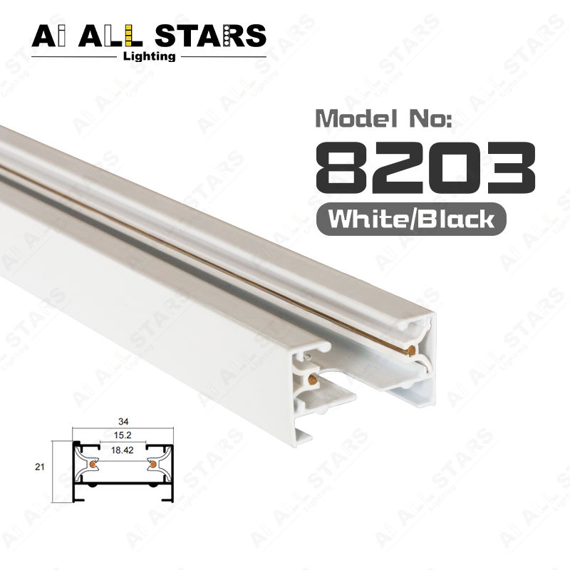 AS-8203 Rail de voie