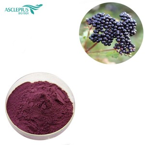 Горячая продажа порошок сока Gulab Jamun с OPC - Product Image 1