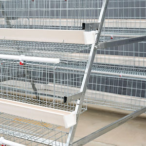 Jaulas <span class=keywords><strong>de</strong></span> batería automáticas <span class=keywords><strong>de</strong></span> tipo gallinero <span class=keywords><strong>de</strong></span> gran venta para gallinas <span class=keywords><strong>de</strong></span> <span class=keywords><strong>Guinea</strong></span> |   Capacidad para 90-160 Pollos |   Cría <span class=keywords><strong>de</strong></span> gallinas ponedoras - Product Image 4