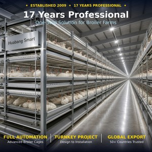 Jaula para Pollos de Engorde, Sistema de Jaulas en Batería Tipo H de Acero Galvanizado en Caliente, Diseño 3D Gratuito, para Granjas Avícolas de 10000 Aves - Product Image 1