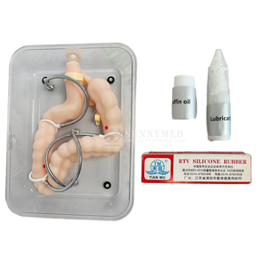 Instrumentos quirúrgicos Educación Simulación Modelo de entrenamiento de <span class=keywords><strong>colon</strong></span> suave Modelo patológico gastrointestinal <span class=keywords><strong>Colon</strong></span> de intestino grueso - Product Image 3