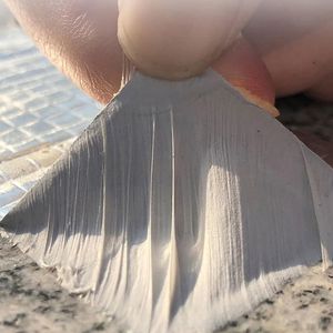 Ruban étanche butyle 5 cm X 5 M rouleau de large scellant auto-adhésif pour réparation de toit bords de revêtement de <span class=keywords><strong>piscine</strong></span> et fuites de tuyaux d'égout - Product Image 3