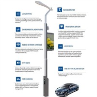 Poste de Luz Inteligente Personalizado de 6m 8m 9m 10m 12m con Cámara CCTV WIFI y Estación de Carga para Autos 5G