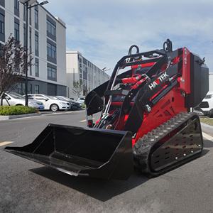 شحن مجاني لودر صغير منخفض السعر يعمل بالديزل مع ملحقات متعددة الوظائف - Product Image 2