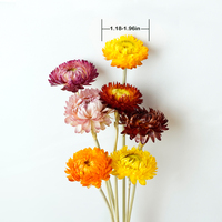 Fabricant de fleurs séchées Bouquet de marguerites 100% Chrysanthème naturel Fleur sèche Home Decora Party DIY Arrangement Blé Paille en vrac