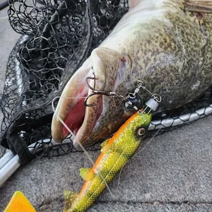 Spinpoler Bombshad señuelo de pesca cola cuadrada Swimbait 14cm 18cm gran PVC Shad Pike cebo Jig Wobbler bagre Zander aparejos - Product Image 4