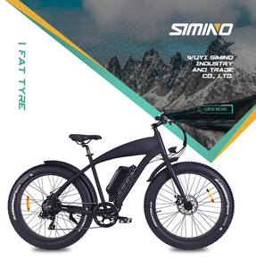 มอเตอร์ฮับหลัง 48V 750W แบตเตอรี่ลิเธียม ความเร็วสูง พร้อมดิสก์เบรก ล้ออลูมิเนียมแบบ Fat Tire สำหรับจักรยานเสือภูเขา - Product Image 3