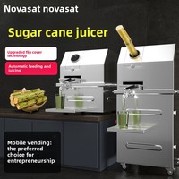 Mini presse à jus de canne à sucre en acier inoxydable, électrique, fonctionnant sur batterie, portable, pour la vente ambulante