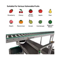 Jiuheng Commerciële Citrusvruchtensorteermachine 1.5kw Motor Verbetert De Sorteerefficiëntie Wasdrogen 220V Aardappelui