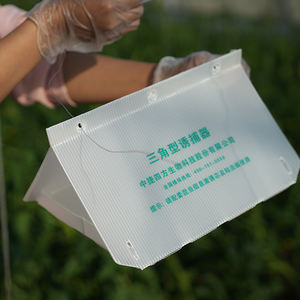 Piège à mites en plastique delta piège à mites <span class=keywords><strong>jackson</strong></span> piège à mites - Product Image 4