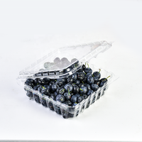 Barquettes d'emballage pour myrtilles en plastique PET recyclé de 1,5 lb, boîte d'emballage pour fruits, conteneur à clapet pour myrtilles avec couvercle à charnière