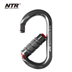 NTR Nhôm Hình Bầu Dục Ngoài Trời Leo Núi Carabiner Để Làm Việc Tại Cao Snap Hook - Product Image 5